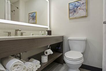 هتل Wingate By Wyndham Macon