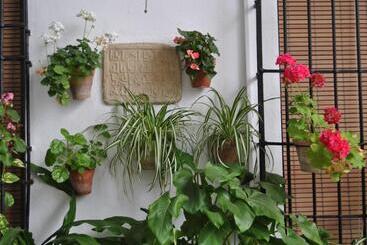 هتل Los Patios