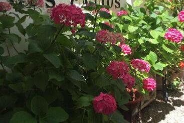 هتل Los Patios