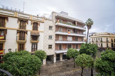هتل Petit Palace Canalejas Sevilla