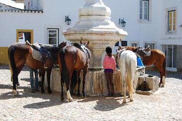 هتل Rural Quinta De Santo Antonio