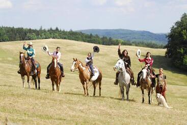ペンション Penzion U Strakatého Koně