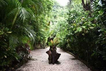 Pachamama Lodge Hostel