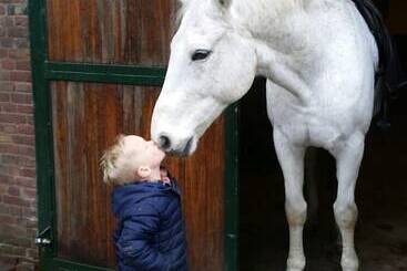 پانسیون Erve Het Roolvink
