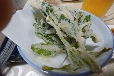 پانسیون Guest House Minato