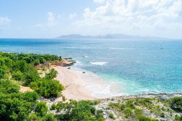 Desiderata Anguilla