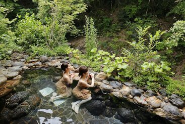 ریوکان Saga Ureshino Spa Shiibasanso