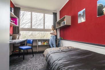 هاستل Campus Summer Stays  Massey Manawatu