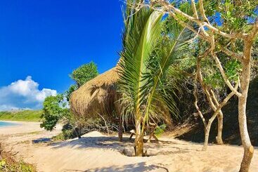 هتل Eden Bay Eco Lodge