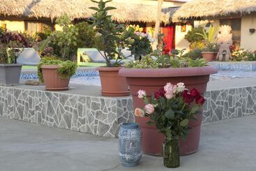شقة فندقية The Cottages By The Sea