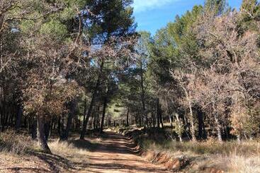 Casas Rurales Tio Mora