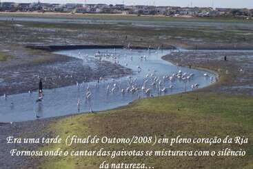 پانسیون Laguna Formosa