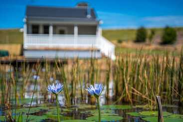 Forget Me Not Farm Cottages
