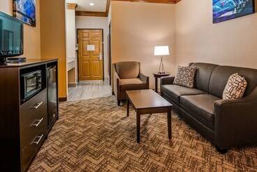 هتل Best Western Fort Worth Inn And Suites