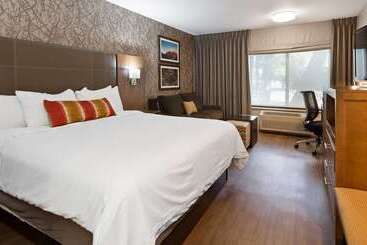 هتل Best Western Plus Cottontree Inn