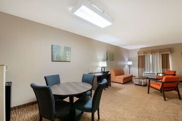 هتل Best Western Plus Dfw Airport Suites