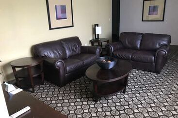 هتل Best Western Plus Inntowner Madison
