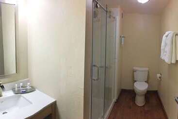 هتل Best Western Plus South Coast Inn
