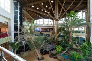 Medplaya Hotel Flamingo Oasis