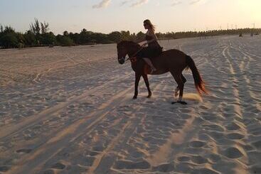 فندق Pousada La Dolce Vita Smg