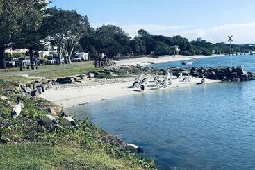 膳宿费 Xyl Pets Friendly Seaside Boutique Guesthouse