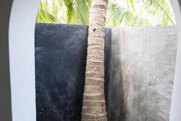 هتل East Surf Cabanas