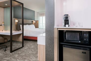 هتل Springhill Suites Lakeland