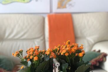 پانسیون Habitaciones En Almonte