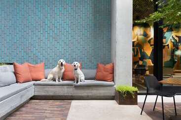 هتل Canopy By Hilton Austin Downtown