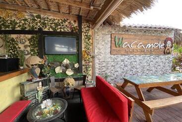 Sol Caribe Suites Deluxe Beach Club And Pool