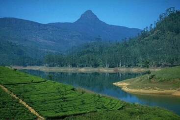 هتل Adams Peak Inn