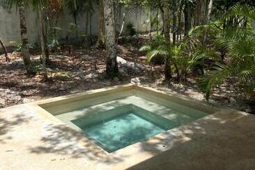 Jungle Lodge Boutique Hotel   Adults Only