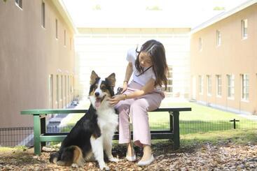 Yutorelo Tateshina Hotel With Dogs