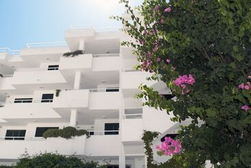 Camelina Suites