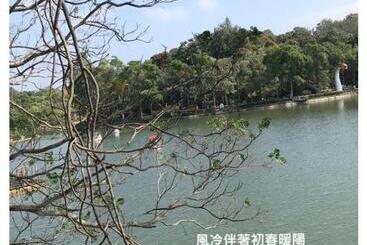 The Ley Hotel 寶麗頌旅館