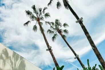 هتل The Beverly Hilton