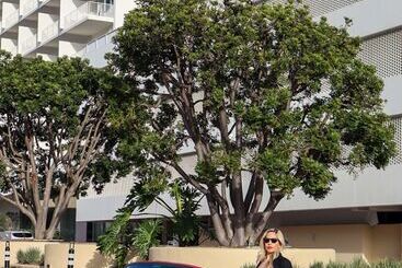 هتل The Beverly Hilton