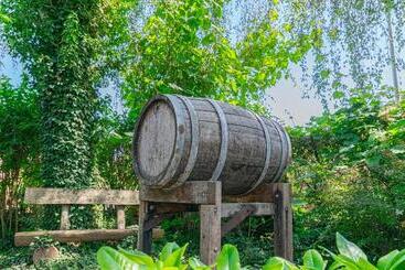 Weinhotel Ayler Kupp