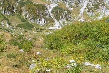ریوکان Suzuranso