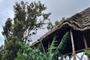 تختخواب و صبحانه View Mountain House   Backpackers