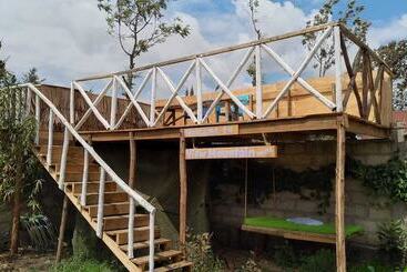 تختخواب و صبحانه View Mountain House   Backpackers