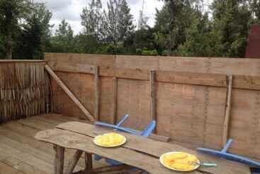 تختخواب و صبحانه View Mountain House   Backpackers