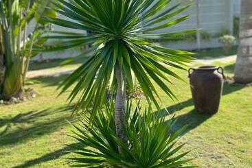 Pineale Villas, Resort And Spa