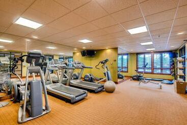 Breckenridge Luxury Ski In, Ski Out Condos