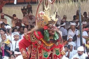 پانسیون The Lumbung Tejakula