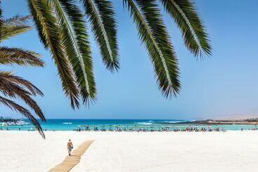 ホテル Barceló Fuerteventura Mar