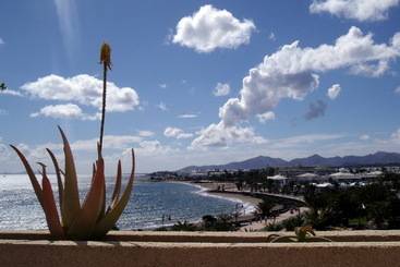 호텔 Beatriz Playa & Spa