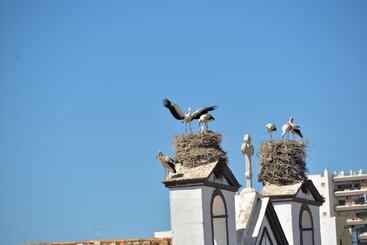 هتل Sol Algarve By Kavia