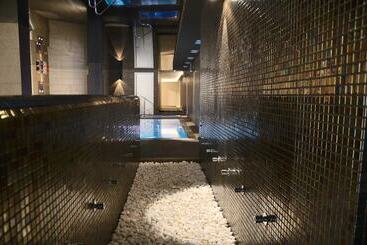 酒店 Spa Acevi Val D’aran