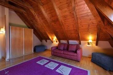 酒店 Spa Acevi Val D’aran